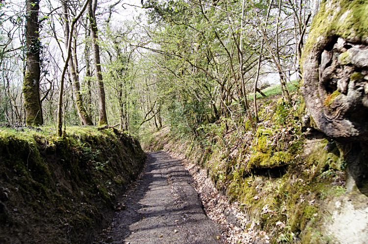 Holloway path in Llwynywormwood Park