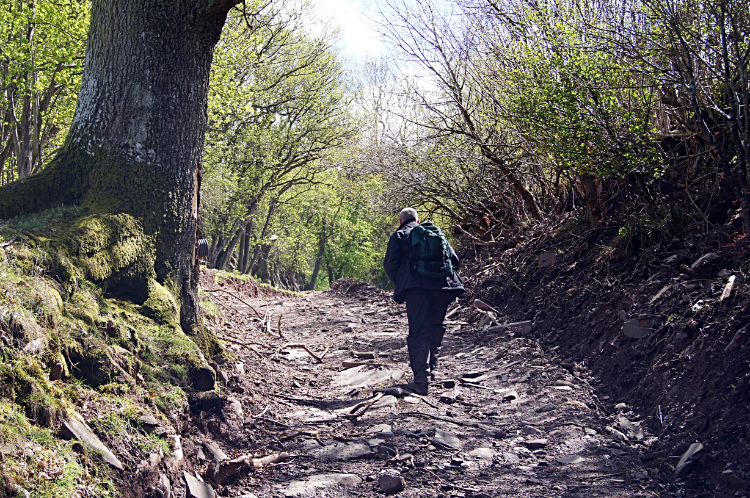 Climbing the lane from Rhiwgarn Farm