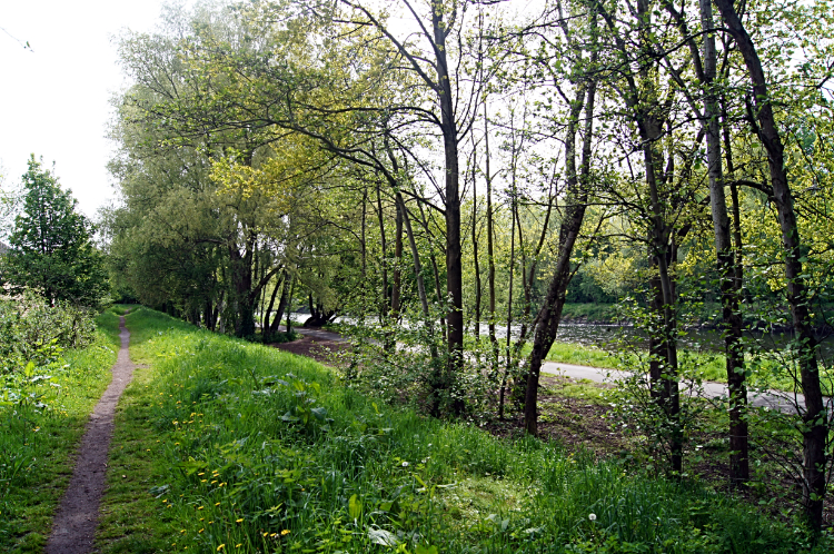 On the Taff Trail at Blackweir