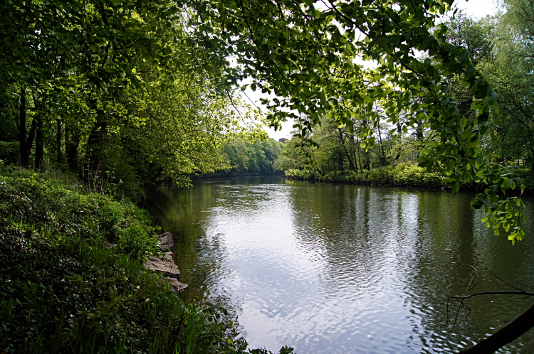 River Taff