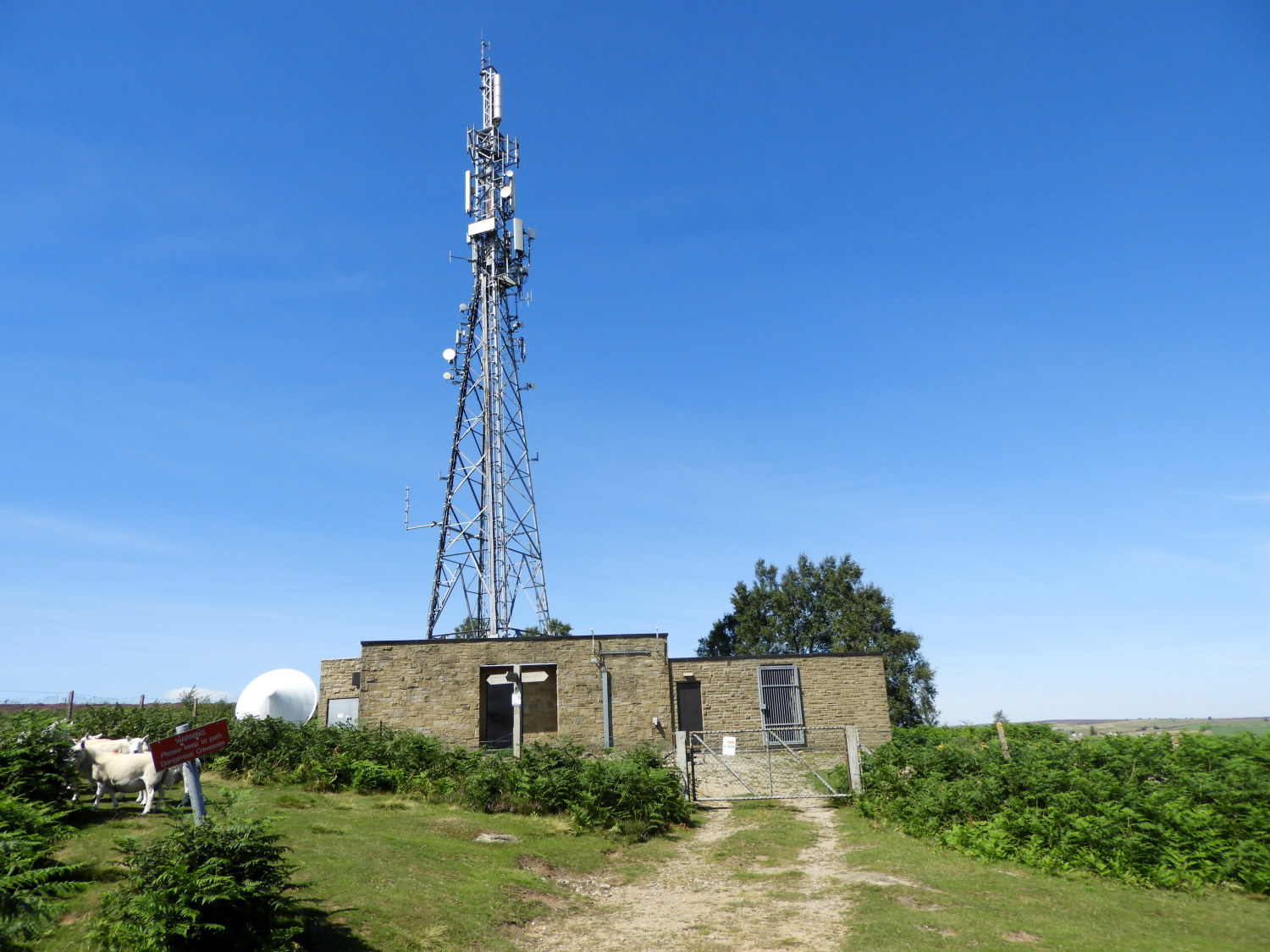 Communications mast near Guise Cliff
