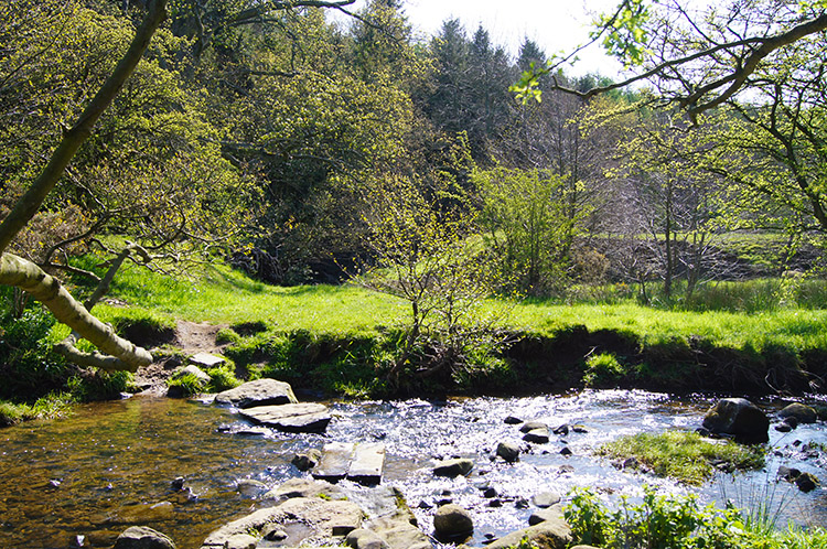 Stepping stones across Thrispin Beck near Riffa Wood