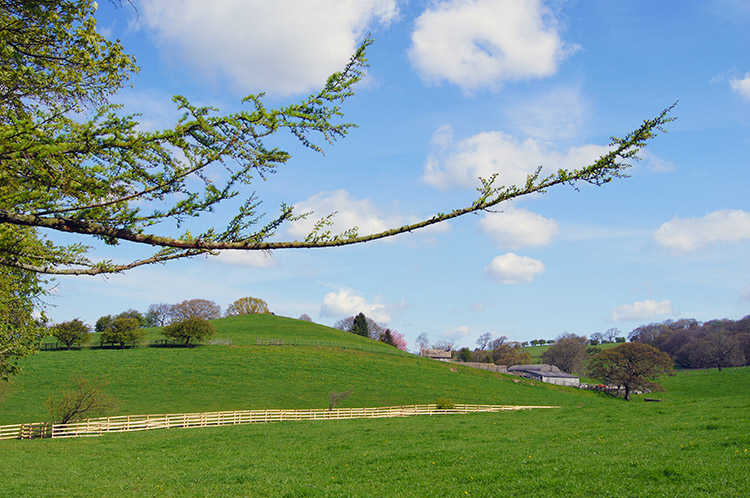 Countryside near Bogridge Farm