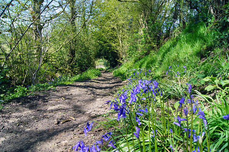 Walking to Stainburn Gill