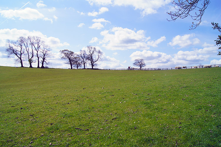 Lovely springtime near Stainburn Gill