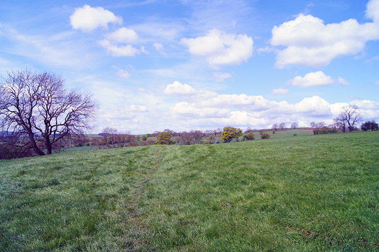 Crossing lush grassed fields on Leathley Moor