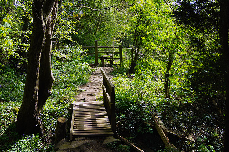 Track, Bridge and stile near Lindley Bridge