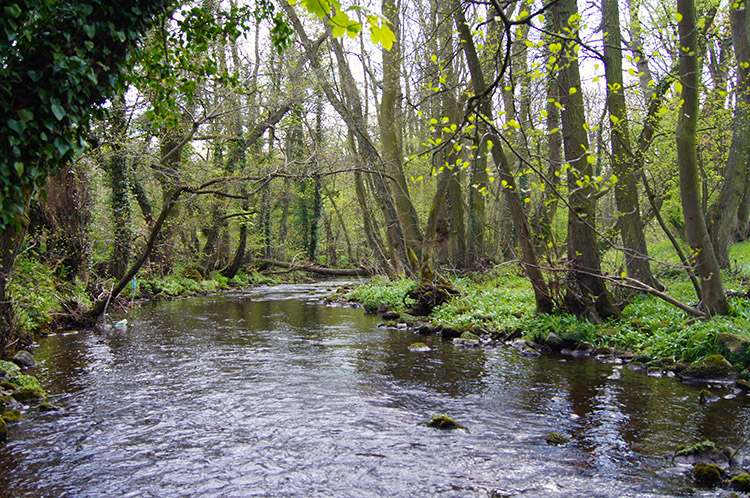 The beautiful River Washburn