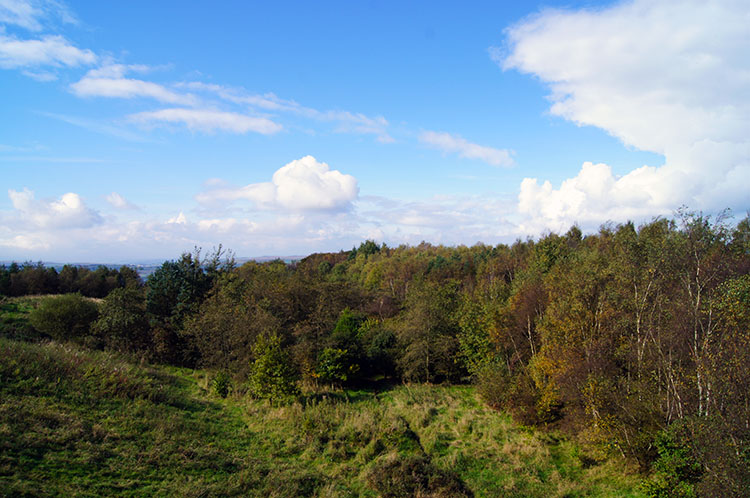 Nature Reserve Woodland