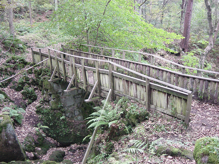 Rickety wooden bridge in Hebers Ghyll Woods