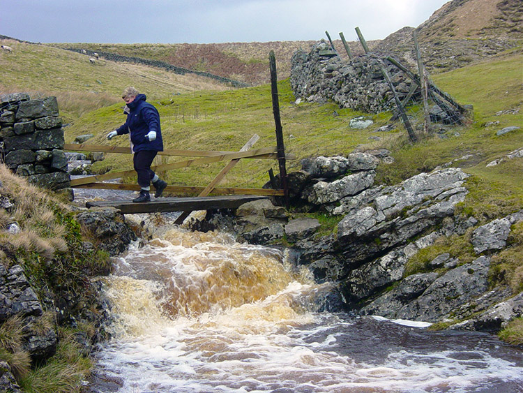 Carefully crossing the beck