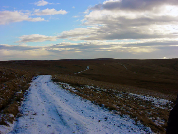 The way from Woogill Moor to Dale Edge