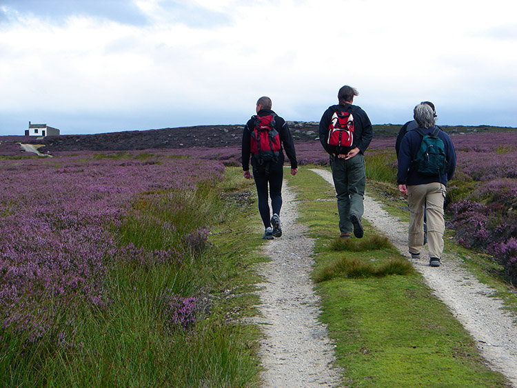 Striding onto Kirkby Malzeard Moor