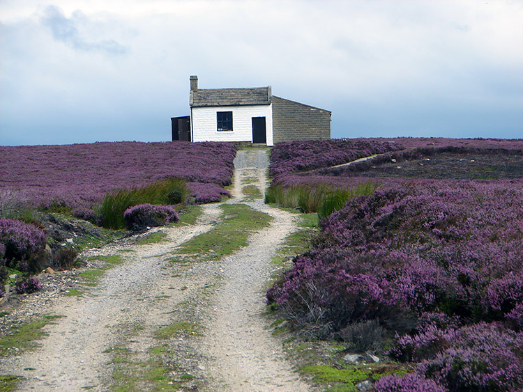 Shooting Lodge on Kirkby Malzeard Moor