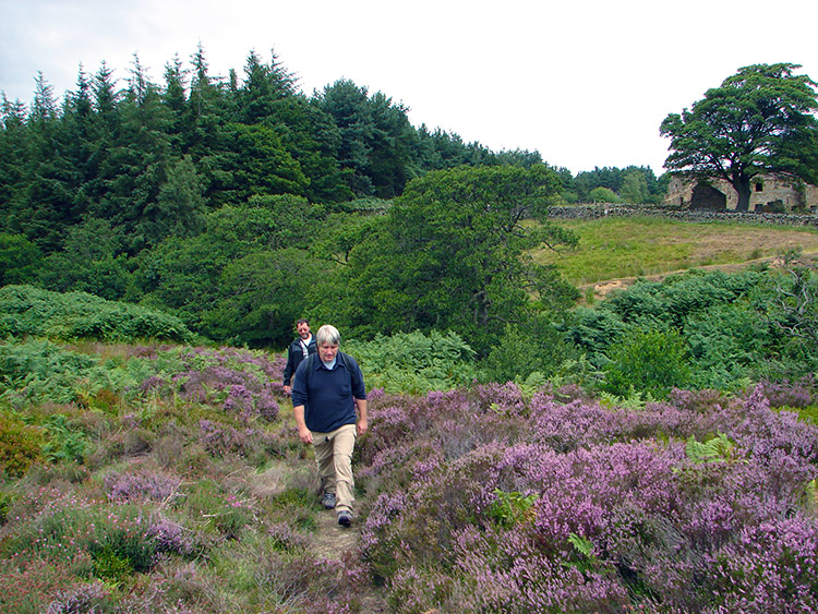 Walking near Stock Beck