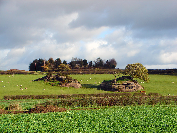 Grit stone outcrops near Braham Hall