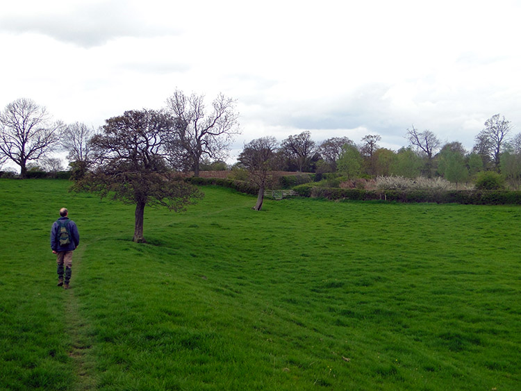 Crossing fields approaching Brearton