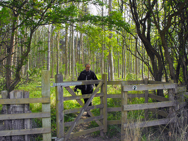 Leaving Great Wood near Goldsborough