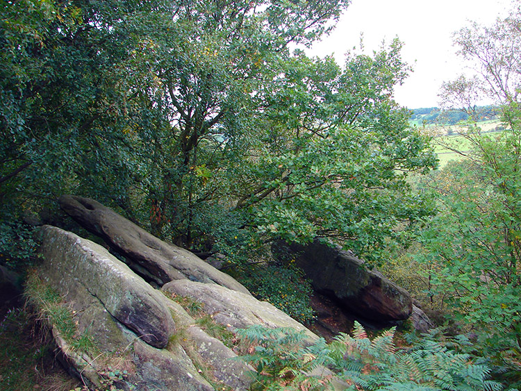 Birk Crag near Harlow Carr Gardens