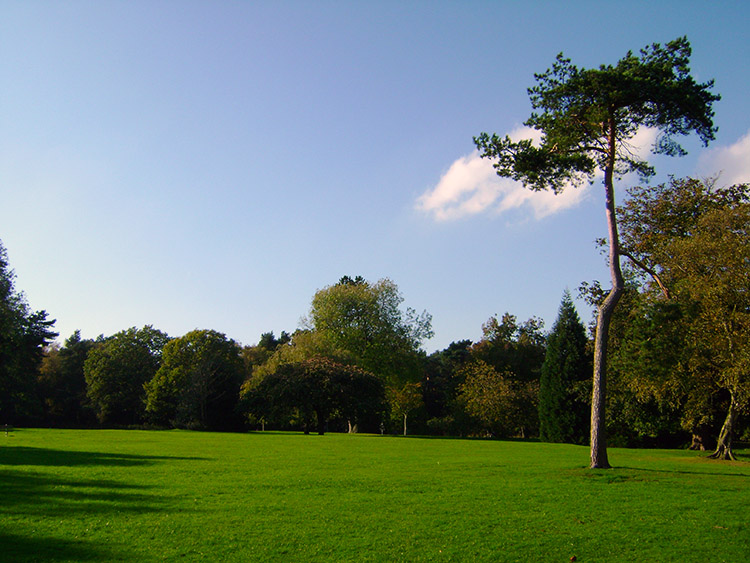 Valley Gardens