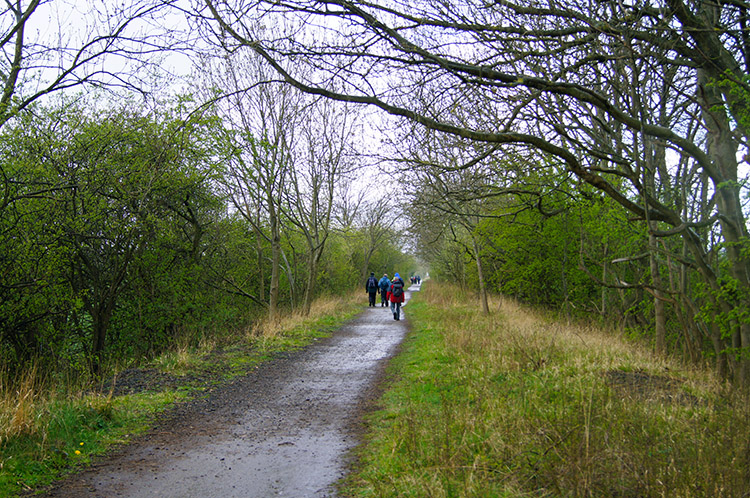 Walkers following the Harland Way