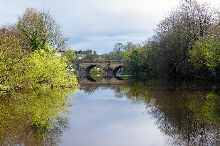River Wharfe at Wetherby