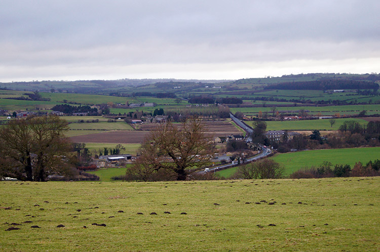 Looking north from Harewood Park