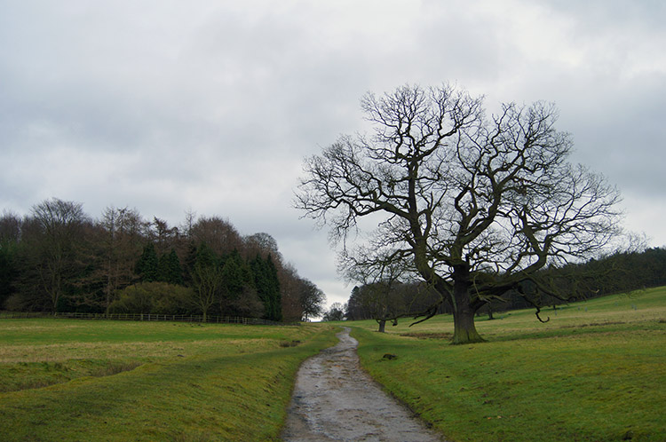 Harewood Park