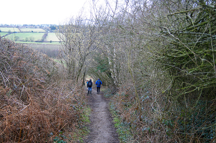 Tracking down toward East Keswick