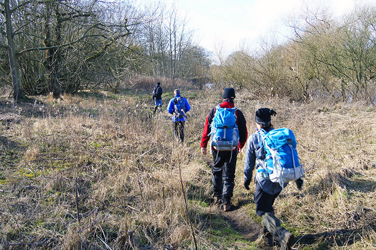 Carthick Wood