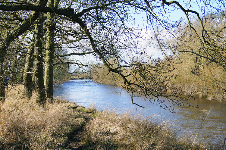 A lovely riverside scene