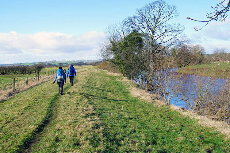 Walking along the Ebor Way to Harewood