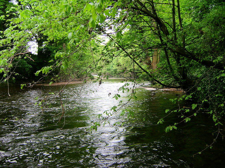 River Nidd near Grimbald Bridge