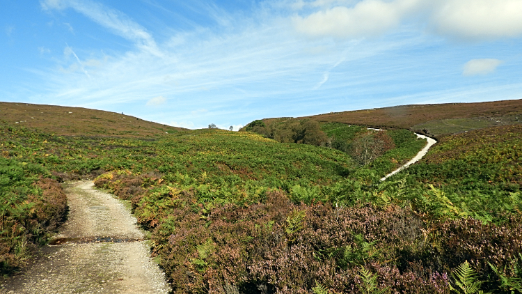 Climbing to Barden Fell by Great Agill Beck