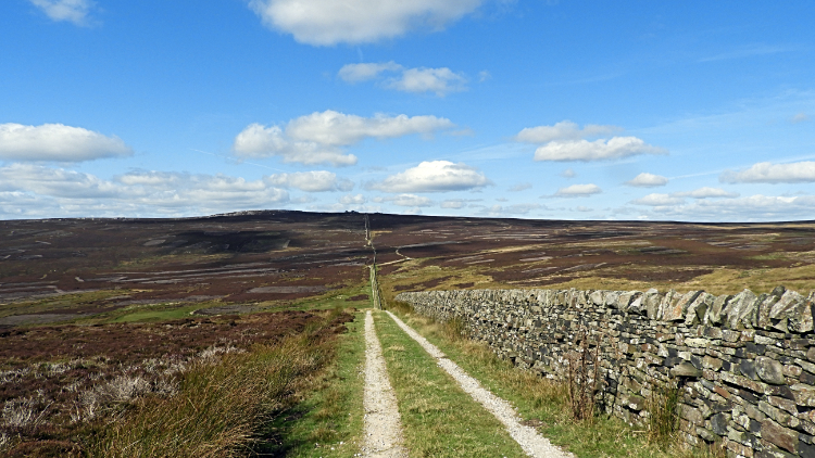 Looking back to my long straight line walk