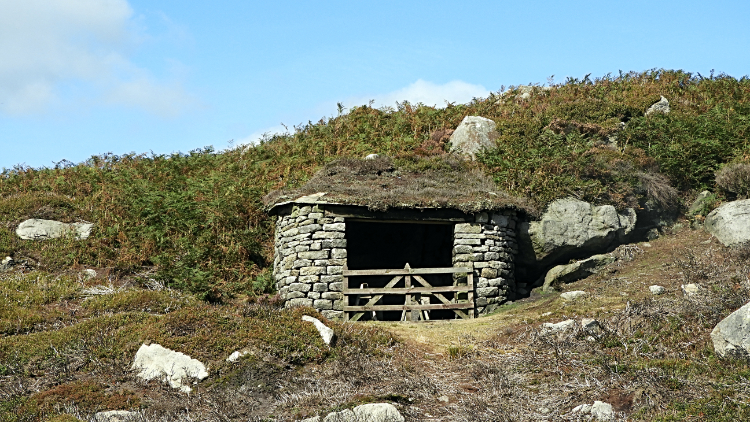 Sheep shelter at Pickles Gill Beck