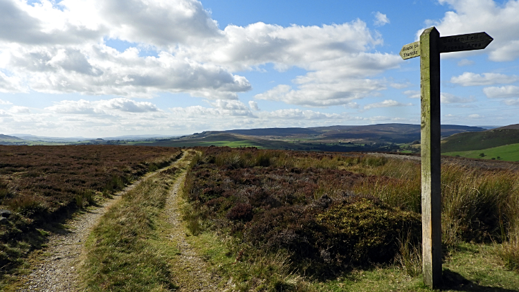 The path to Gill Bank