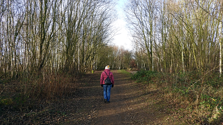 Following the Sculpture Trail