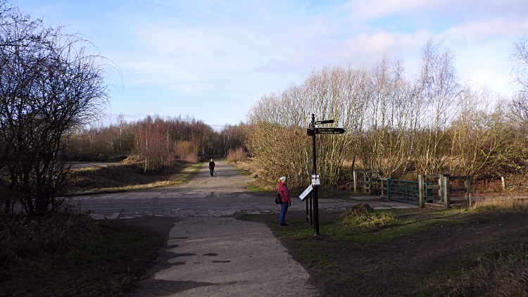 Where paths meet in the park