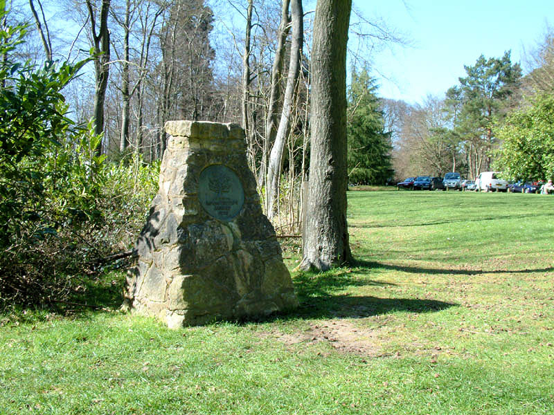 High point of Buckinghamshire in Wendover Woods