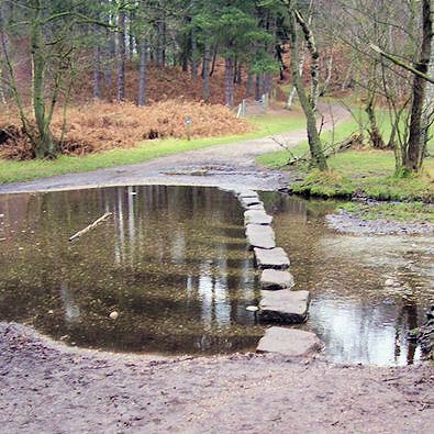 Stepping stones across the Sher Brook