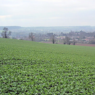 View over the Dover Beck and Epperstone