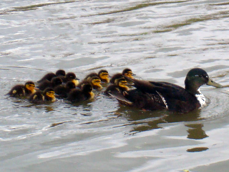 A family outing