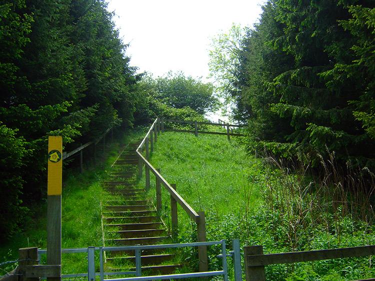 Steps leading up Buttermilk Hill