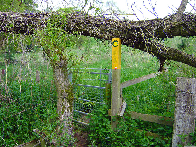 Precarious gate