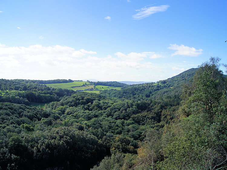 The view from above the Ercall Quarry