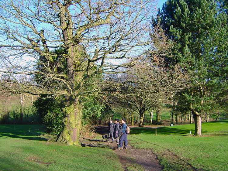 Crossing Lingdale Golf Course