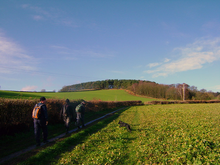 Broombriggs Farm Country Park