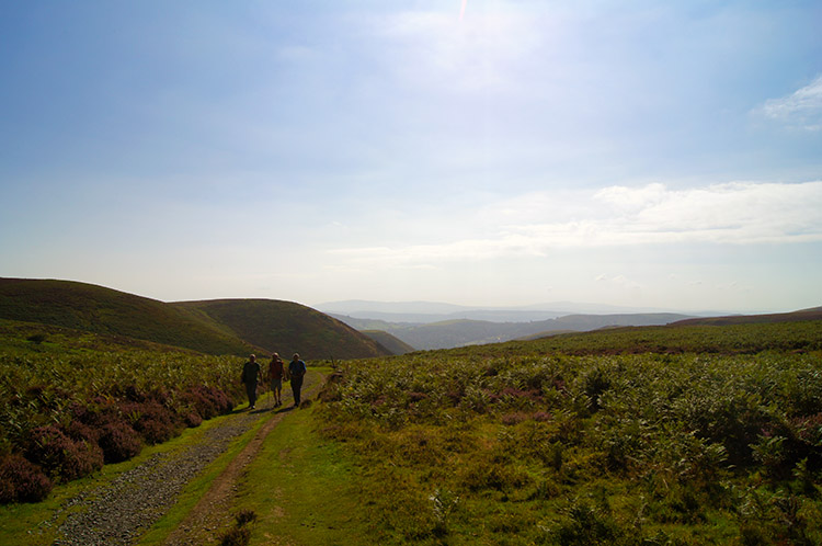 Looking back from Calf Ridge