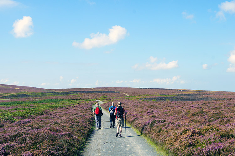 Following the Shropshire Way